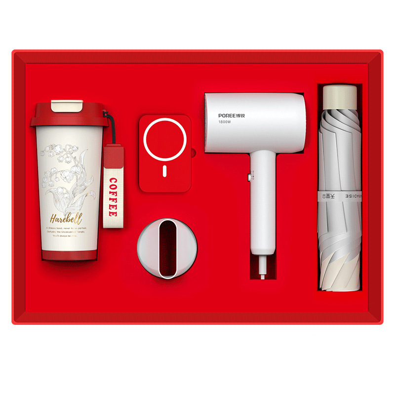 Business Gift Set Feike Borui Hair Dryer Souvenir Custom Logo Event Gift Practical Customer Gift