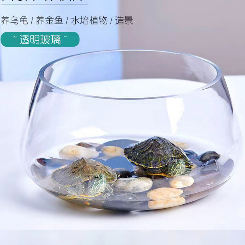 鱼缸玻璃圆形办公桌绿萝水培家用小鱼创意透明小型迷你桌面乌龟缸