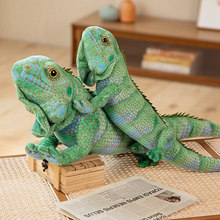 ����Gɫ���湫��ë�q��߿羳������׃ɫ����ż�к�����߱���