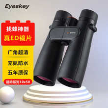 ˹\edpͲhR߱܊ҹҕIݳҷ