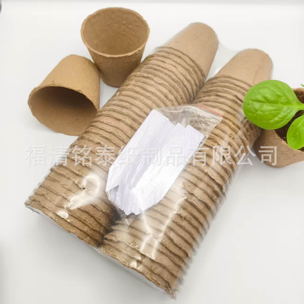 微信图片_20250912212956_66_36