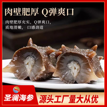 渤海湾鲜食海参即食海参肉质Q弹无添加独立包装自用首选 特大海参