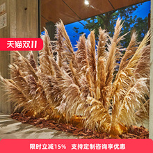 JȔ쾰ɫ҃bWtbꙻg