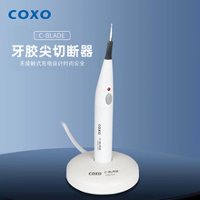 �������z���Д��� COXO��ɭ���z���Д�P �Д������z���۔���