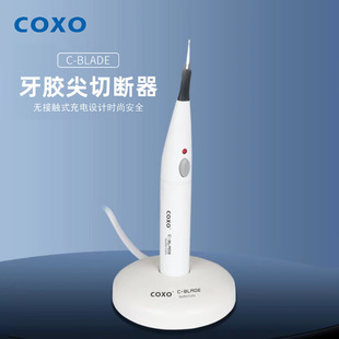 �������z���Д��� COXO��ɭ���z���Д�P �Д������z���۔���