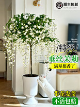 �ش󴹽z�������Ԏ������Ϙ��҃ȿ͏d�������L܇�����������ܾGֲ