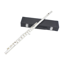 SLADE16���L��Ƥ��E�IC�{���~���w���L�ьW����������������l
