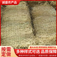 ���ݾ���Ʒ�S�� ��������·����������݉|�ݴ� ��Ѵ�o�²ݰ��ݴ�