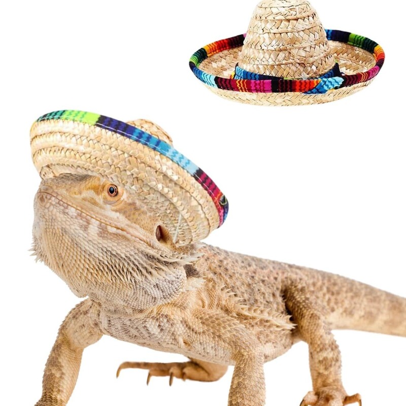 Mexican Color Rope Pet Hat Lizard Cat Dog Summer Straw Hat May 5 Easter Day Costume