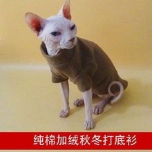 无毛猫衣服10.9春秋斯芬克斯德文潮牌防脏代发网红一件批发