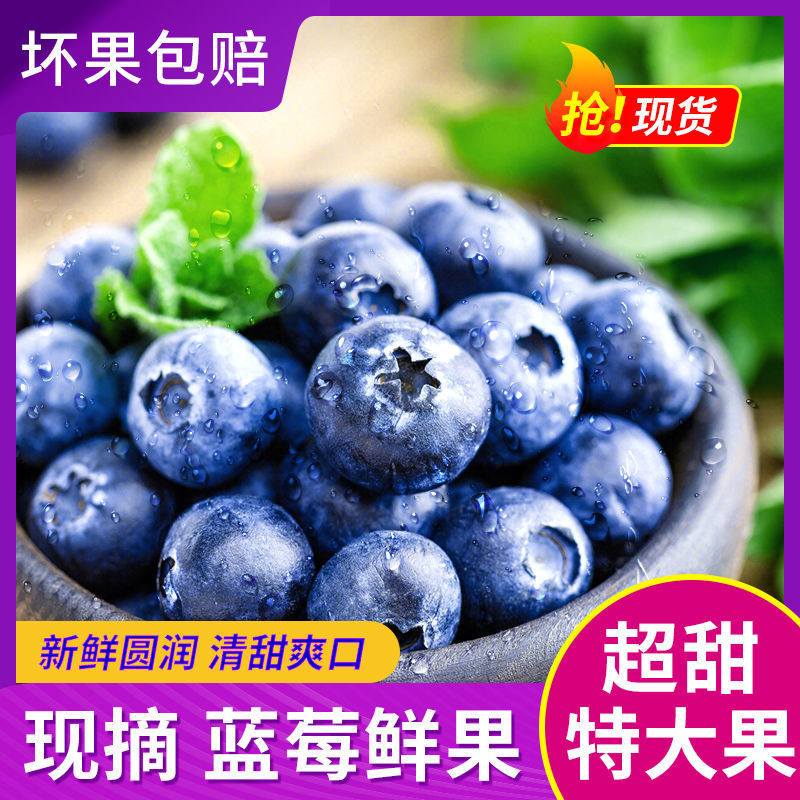 蓝莓鲜果现摘新优选鲜高山大果蓝莓宝宝辅食