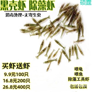 ��ֳ�Ļ��rС�^�p��ˮ�r������坍�r��ˮ�~�����B��С�rι��