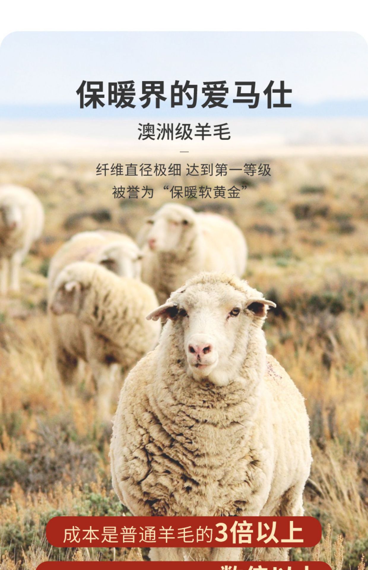 O1CN01BxeRhX1PzHfgz4GYs_!!2206765491911-0-cib.jpg?__r__=1667199427781