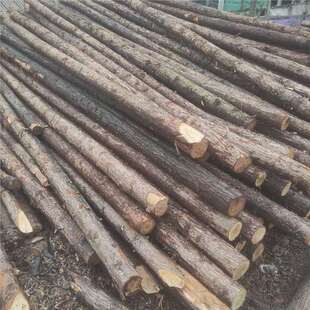 ����ƽ�ɽ�ӵ���ľɼľ����ľ���g���o��ľ���򘶈Aľ��ľɼľ