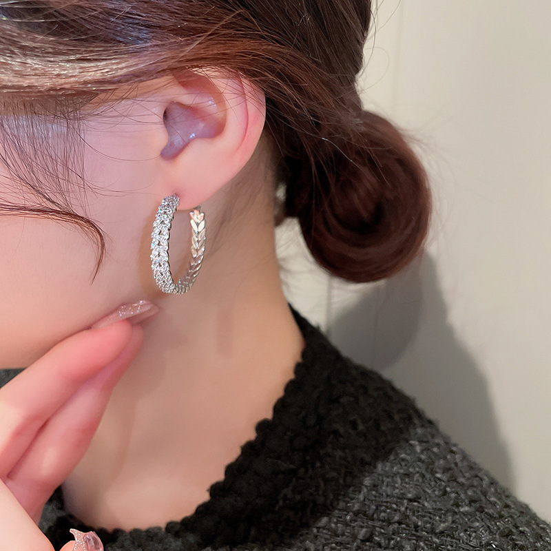 Fashion Circle Copper Inlay Zircon Earrings 1 Pair