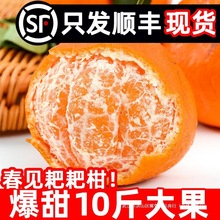 �Ĵ���Ҋ�ҰҸ�10���������rˮ����̽����θ̮������˸̶Y��