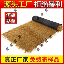 é����픵��ݑ��������b�����ë�r�Ҙ����^��ͤ����ͥԺ��ƺ