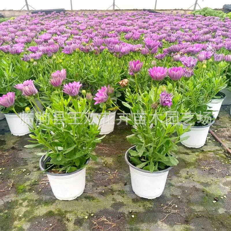 3d041ccb-331b-4dd8-9815-65823b