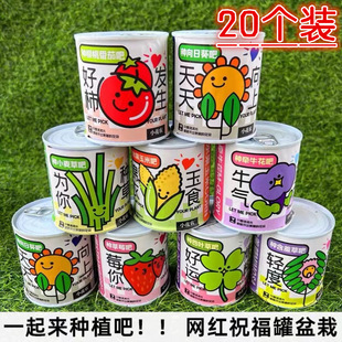 �Nֲ���^����diy�W�t�NֲС���Թ��ӌW���Y������ֲ��