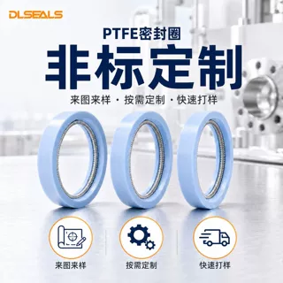 非标定制多规格PTFE弹簧蓄能泛塞密封圈唇形油封四氟耐压密封件