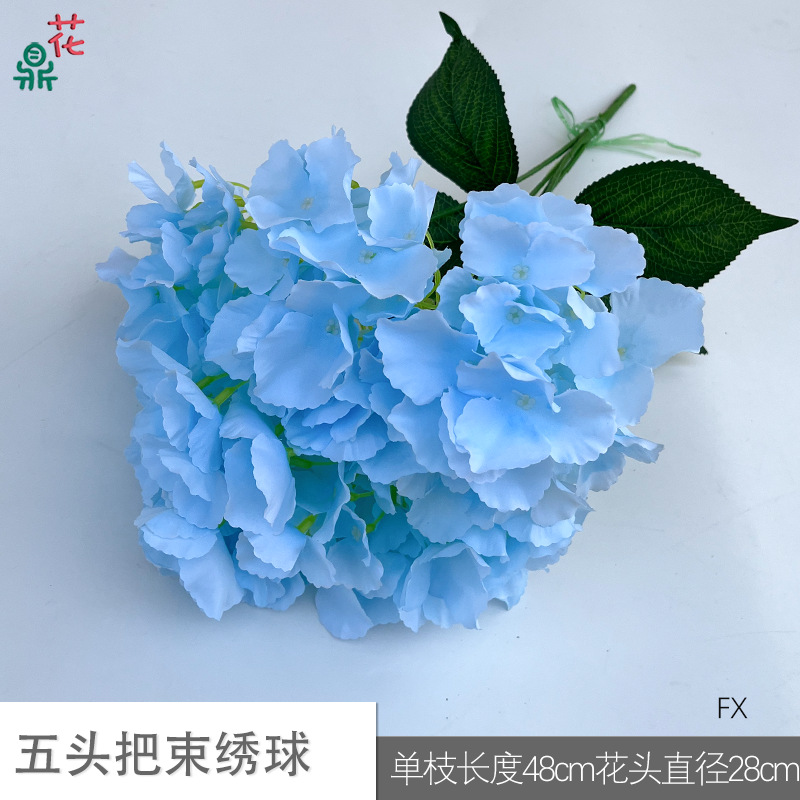 Five -headed hydrangea FX (two groups of leaves) blue