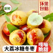 正宗陕西大荔冬枣新鲜大枣特大脆甜冬枣新鲜水果大果5斤整箱包邮