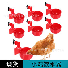 雞喂水器 雞用飲水碗 雞用自動飲水碗 雞水杯Chicken water cup