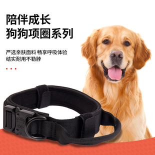 �����Ȧ�д���Ȯ���g��Ȧ��ë�RȮ�������������Ȧ����Ó�����_