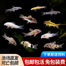 �����~��̦�����ð��󻨽�������؈���鱪�y��ח������坍�����~