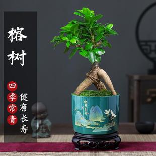 �Ř��辰ֲ���҃ȿ͏d�ļ�����GֲС�~���X�˅��Ϙ����B��������