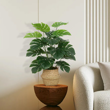 ���W�k����С���ԾGֲ�������Կ͏d�bٻ�����ֲ��ҾӔ[��