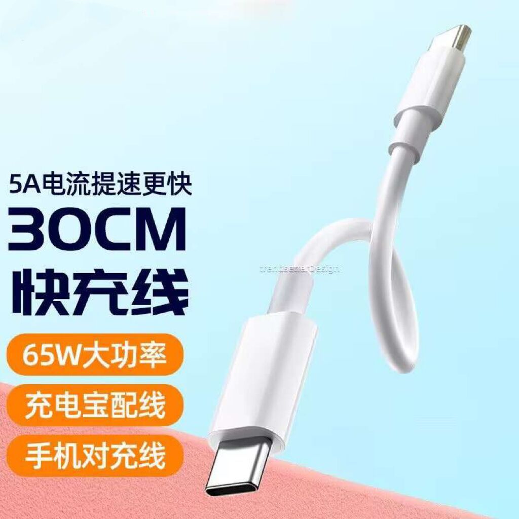 双头Typec接口数据线 充电宝手机短线 双USB-C 公对公快充数据线