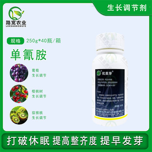 ����ѿ���谷�������߄���ѿ��ѿ�lѿ������䰱�@���L�{����250g