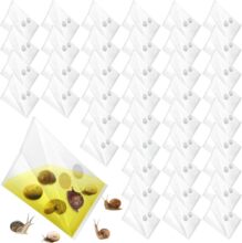 Garden Slug Trap�������岶�x�W�҃�������������ơ����������