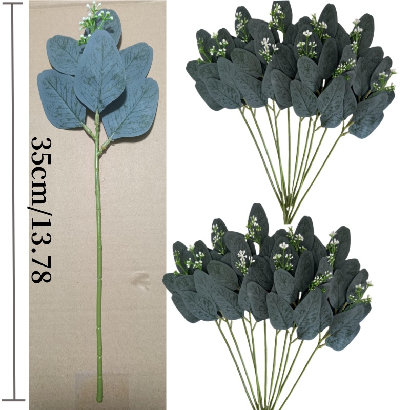 두꺼운 줄기 끝에 열매가 달린 유칼립투스 잎