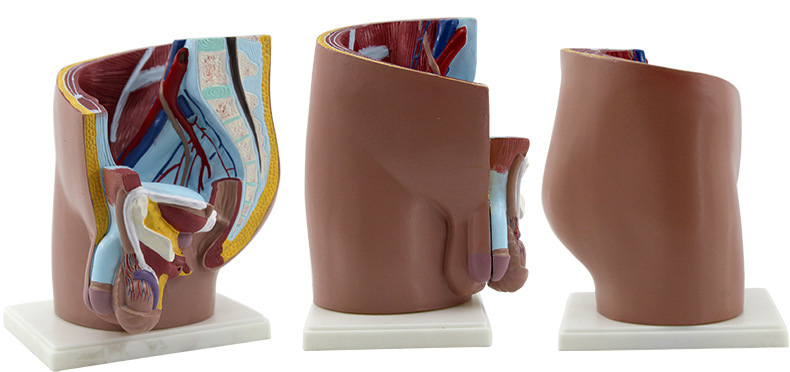 O1CN01Swq1072Kk6XgjrCpc_!!3578