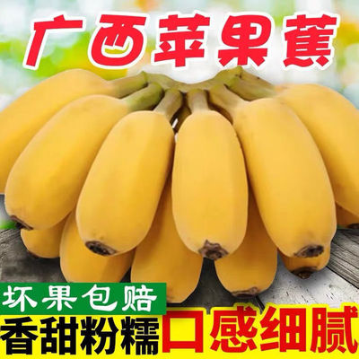 Guangxi Apple Apple plantain Fresh fruit 10 Bananas 3 FCL 5 wholesale