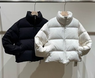 ��������ը��95���Z�q���������