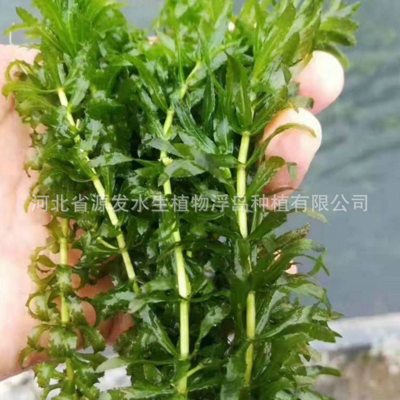 mmexport1568158208843