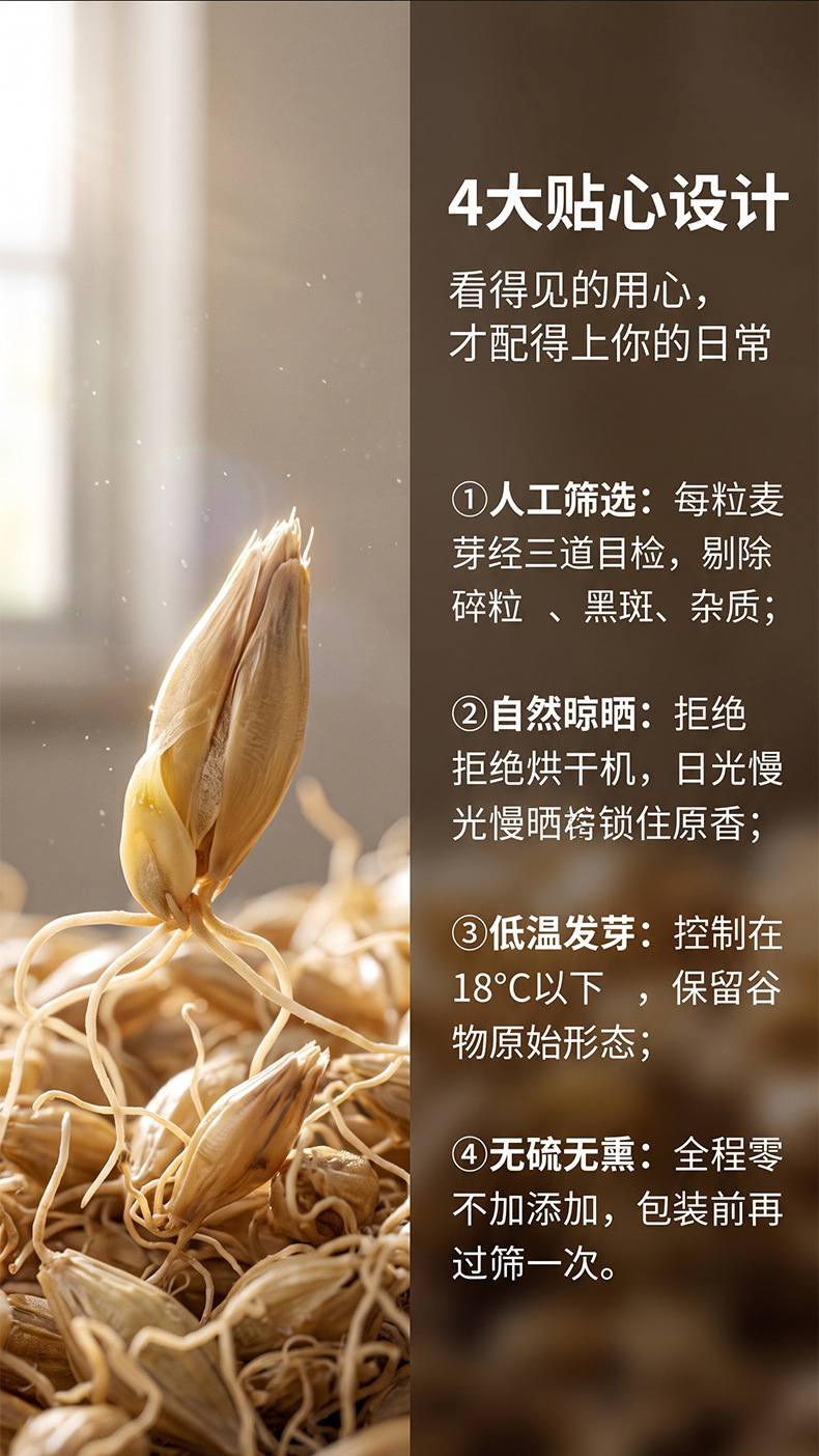 Raw Sprouted Barley Malt Germinated Barley Mai Ya Food Grade Dried Herb Bulk Supply 500g quality and texture