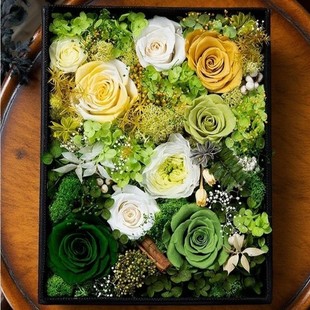 ������ԭ��ɭ���R�恆�����[��/�����b�ƷС�YƷ���愓��YƷ