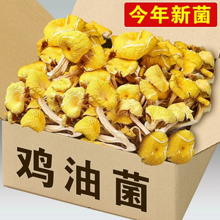 �u�;���؛�o������ظ�؛�˟��u�SĢ���S����؛�Ҝ����ʳ��