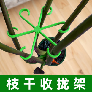 Monstera Support Fixator Anti-Falling Reusable Plant Stem Gathering Frame Gardening Tools