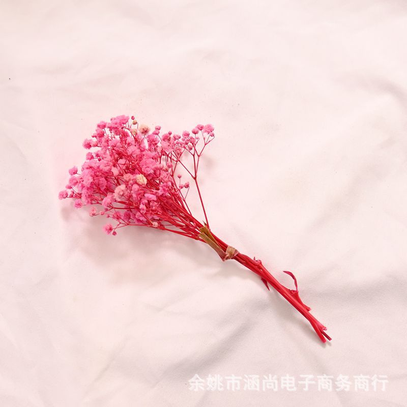 Flores secas transfronterizas ramo pequeño Cielo estrellado amante de la hierba nome olvides de la vida eterna decenas de millones de estrellas caja de regalo decoración florero pequeño ramo