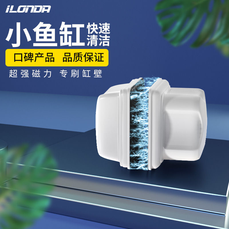 Small magnetic square aquarium