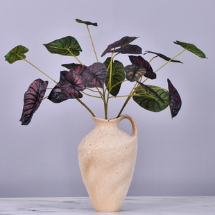 �S��ֱ�N�������[����ֲ������쾰�b���Gֲ�^��ɏ�~���~��