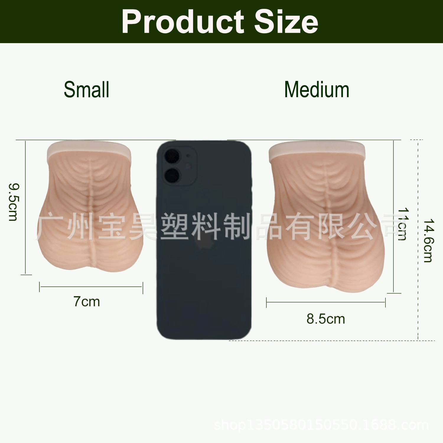 Teaching model simulation Men's testicular model testicular self -examination exercise model large size and small size