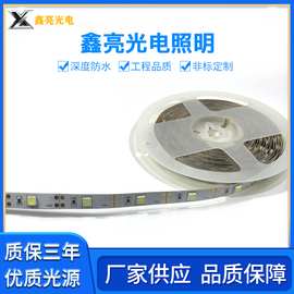 led灯带 灯条  照明装饰led灯带  电视背景2835led灯带 LED灯带