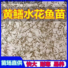 �S�Xˮ���~�絾��Ұ�����S�X�P���X�Lβ�~�X�~���ͺ��׻��Ї�