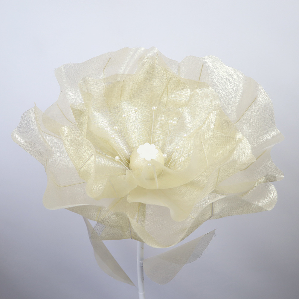 베이지 색 꽃 머리 직경 50cm